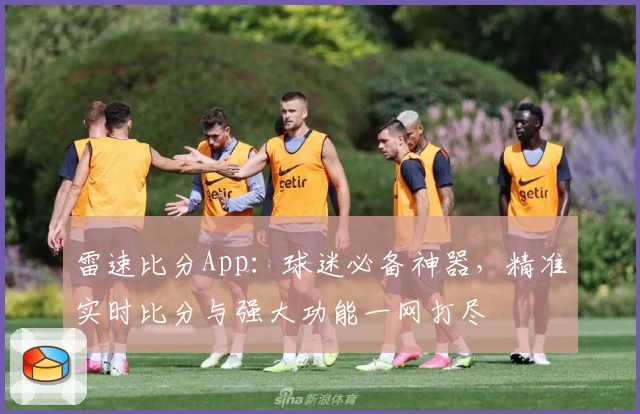 雷速比分App:球迷必备神器,精准实时比分与强大功能一网打尽