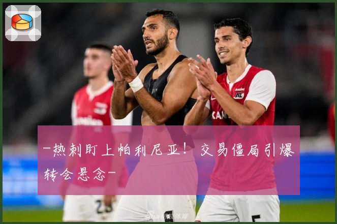 -热刺盯上帕利尼亚！交易僵局引爆转会悬念-