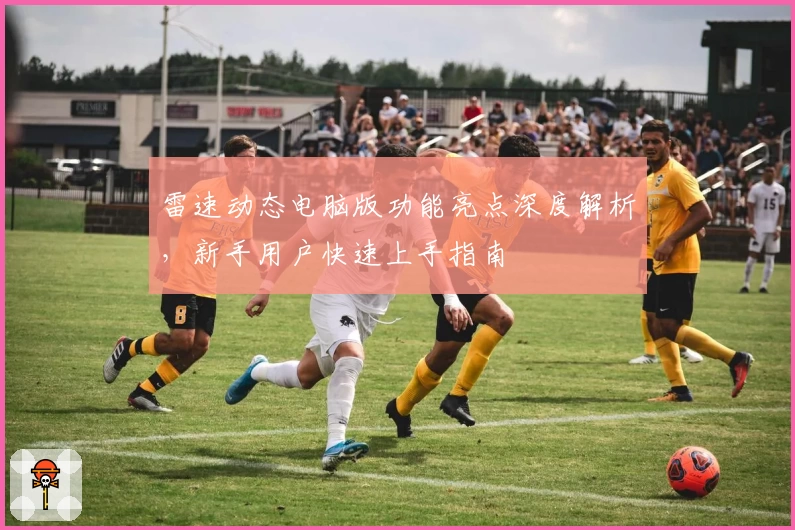 雷速动态电脑版功能亮点深度解析，新手用户快速上手指南